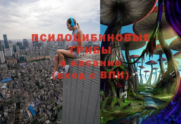 наркотики Белокуриха