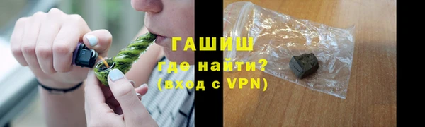 сатива Беломорск