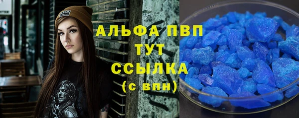 сатива Беломорск
