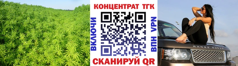 как найти закладки Заозёрск Дистиллят ТГК гашишное масло