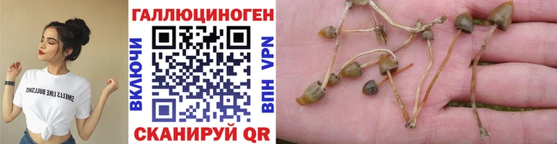 Псилоцибиновые грибы Magic Shrooms  blacksprut ССЫЛКА  Заозёрск 